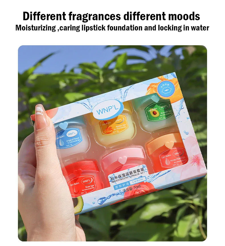 New 4/6/8pcs Moisturizing Lip Balm Sets Lipstick Makeup Natural Plant Base Moisturizer Lip Balm Anti-Cracking Lips Skin Care - Tasawoq