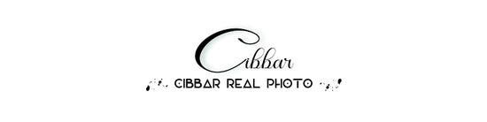 CIBBAR Basic Solid Camis Summer Casual Sleeveless Spaghetti Strap Top Women Harajuku All-match Cropped Tops y2k Vintage Clothing - Tasawoq