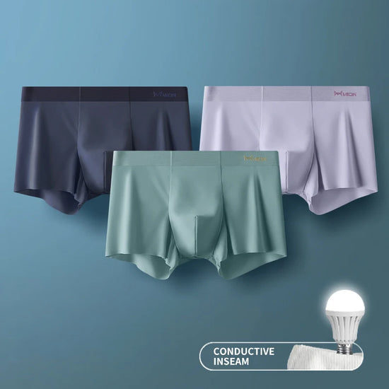 MIIOW 3Pcs Ice Silk Man Underwear Boxer Metal Fiber Antistatic Men Underpants Seamless Cut Hem Men's Panties Boxers Shorts Trunk - Tasawoq
