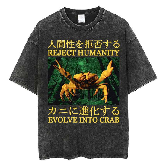 The Horrors Are Never Ending Yet I Remain Silly T-shirt Funny Japanese Style Frog Retro Washed T Shirt Men's Oversized Tees Tops - Tasawoq