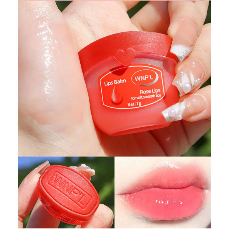 New 4/6/8pcs Moisturizing Lip Balm Sets Lipstick Makeup Natural Plant Base Moisturizer Lip Balm Anti-Cracking Lips Skin Care - Tasawoq
