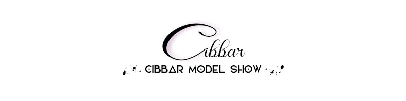 CIBBAR Hot Sexy Leopard Print Shorts Streetwear y2k Lace Patchwork Bow Low Rise Skinny Short Pants Women Vintage 2000s Clothing - Tasawoq