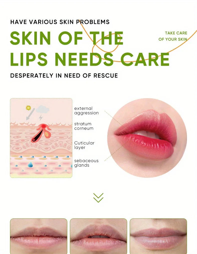Lip Aloe Balm Nourishing, Refreshing, Hydrating and Moisturizing Preventing Cracking and Repairing Lips Gentle Non Irritating - Tasawoq