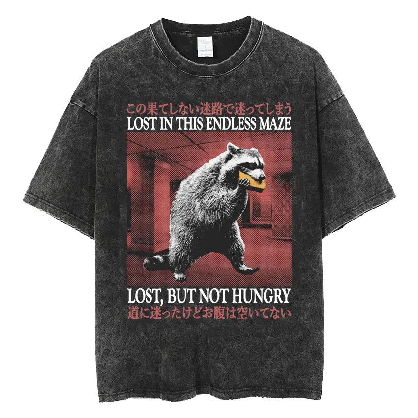 The Horrors Are Never Ending Yet I Remain Silly T-shirt Funny Japanese Style Frog Retro Washed T Shirt Men's Oversized Tees Tops - Tasawoq