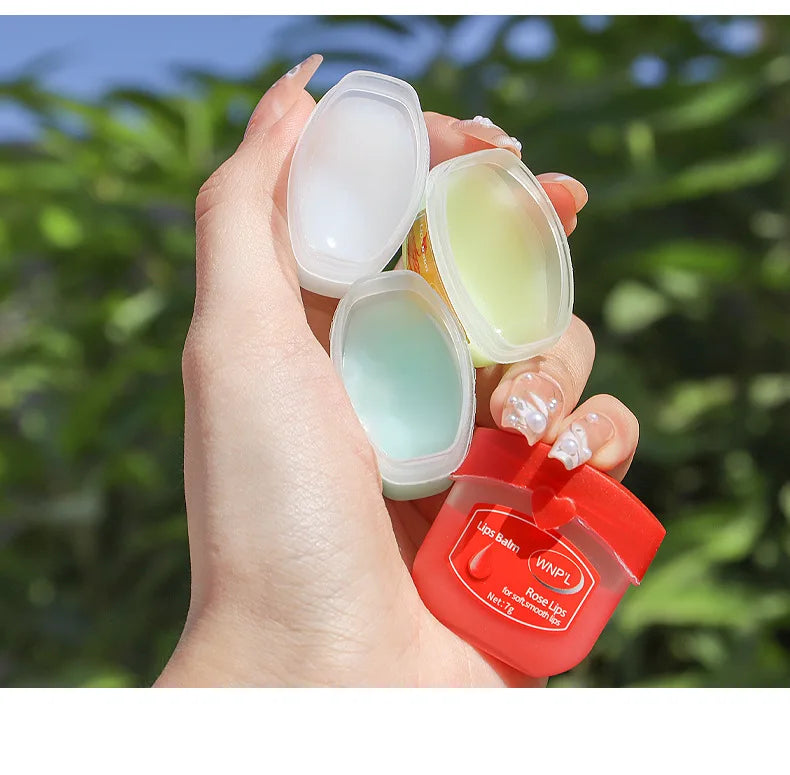 New 4/6/8pcs Moisturizing Lip Balm Sets Lipstick Makeup Natural Plant Base Moisturizer Lip Balm Anti-Cracking Lips Skin Care - Tasawoq