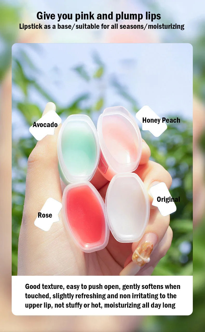New 4/6/8pcs Moisturizing Lip Balm Sets Lipstick Makeup Natural Plant Base Moisturizer Lip Balm Anti-Cracking Lips Skin Care - Tasawoq