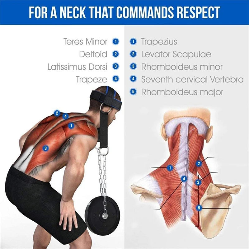 Head Neck Training Head Harness Weight Bearing Cap Body Strengh Adjustable Exercise Strap Neck Muscle Power Training Gym Fitness - Tasawoq