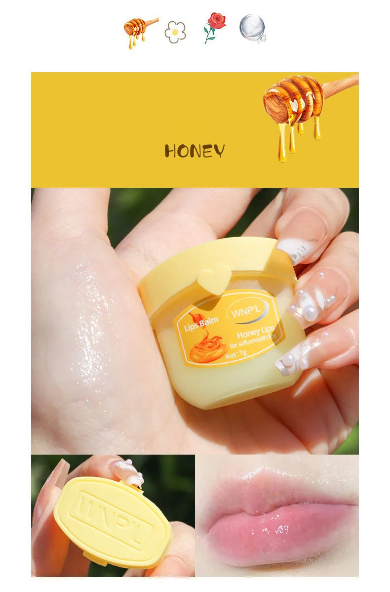 New 4/6/8pcs Moisturizing Lip Balm Sets Lipstick Makeup Natural Plant Base Moisturizer Lip Balm Anti-Cracking Lips Skin Care - Tasawoq