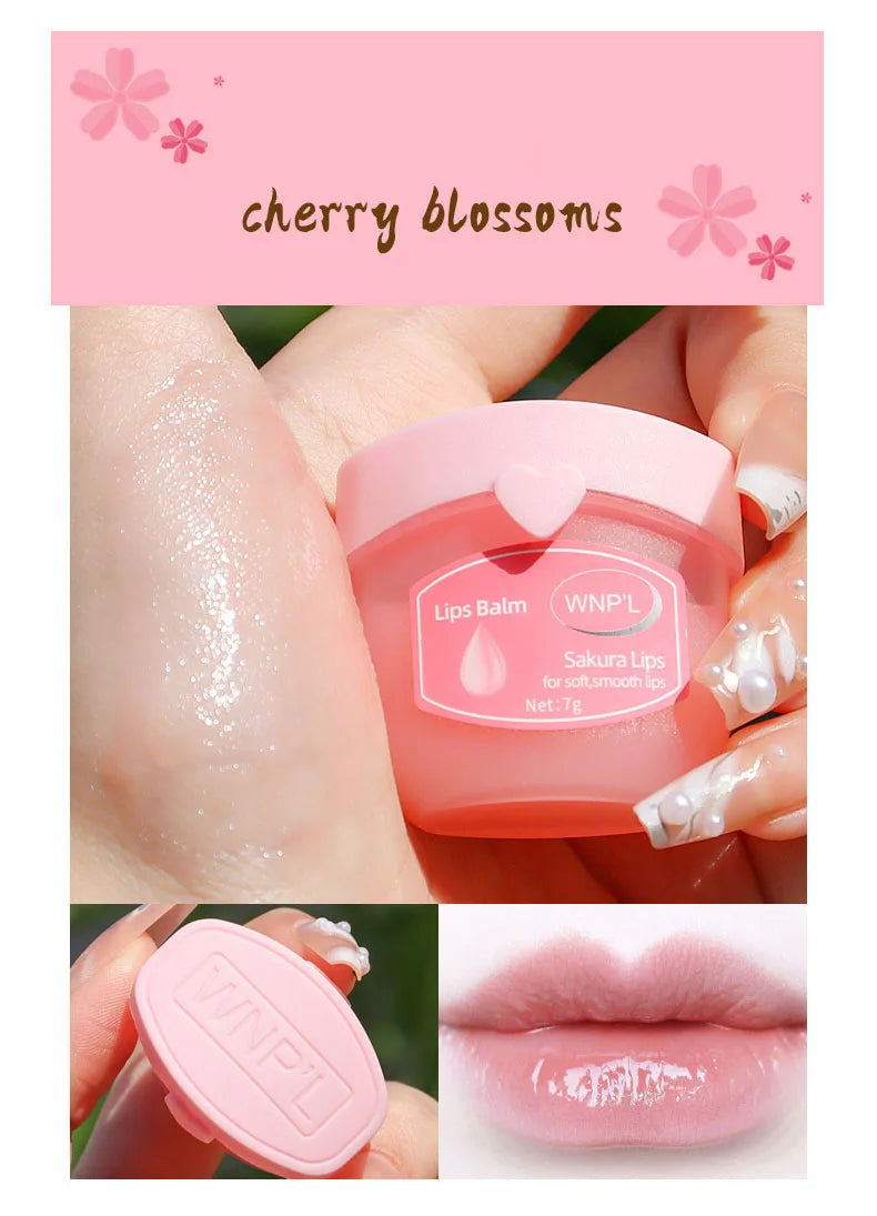 New 4/6/8pcs Moisturizing Lip Balm Sets Lipstick Makeup Natural Plant Base Moisturizer Lip Balm Anti-Cracking Lips Skin Care - Tasawoq