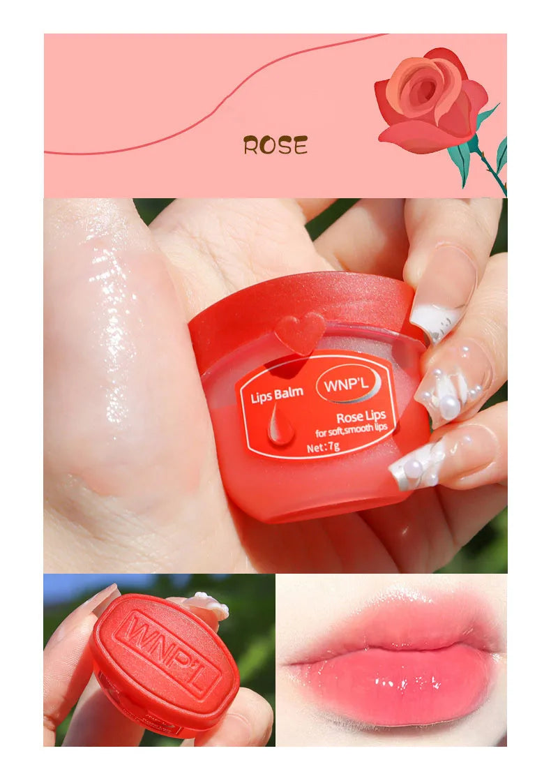 New 4/6/8pcs Moisturizing Lip Balm Sets Lipstick Makeup Natural Plant Base Moisturizer Lip Balm Anti-Cracking Lips Skin Care - Tasawoq