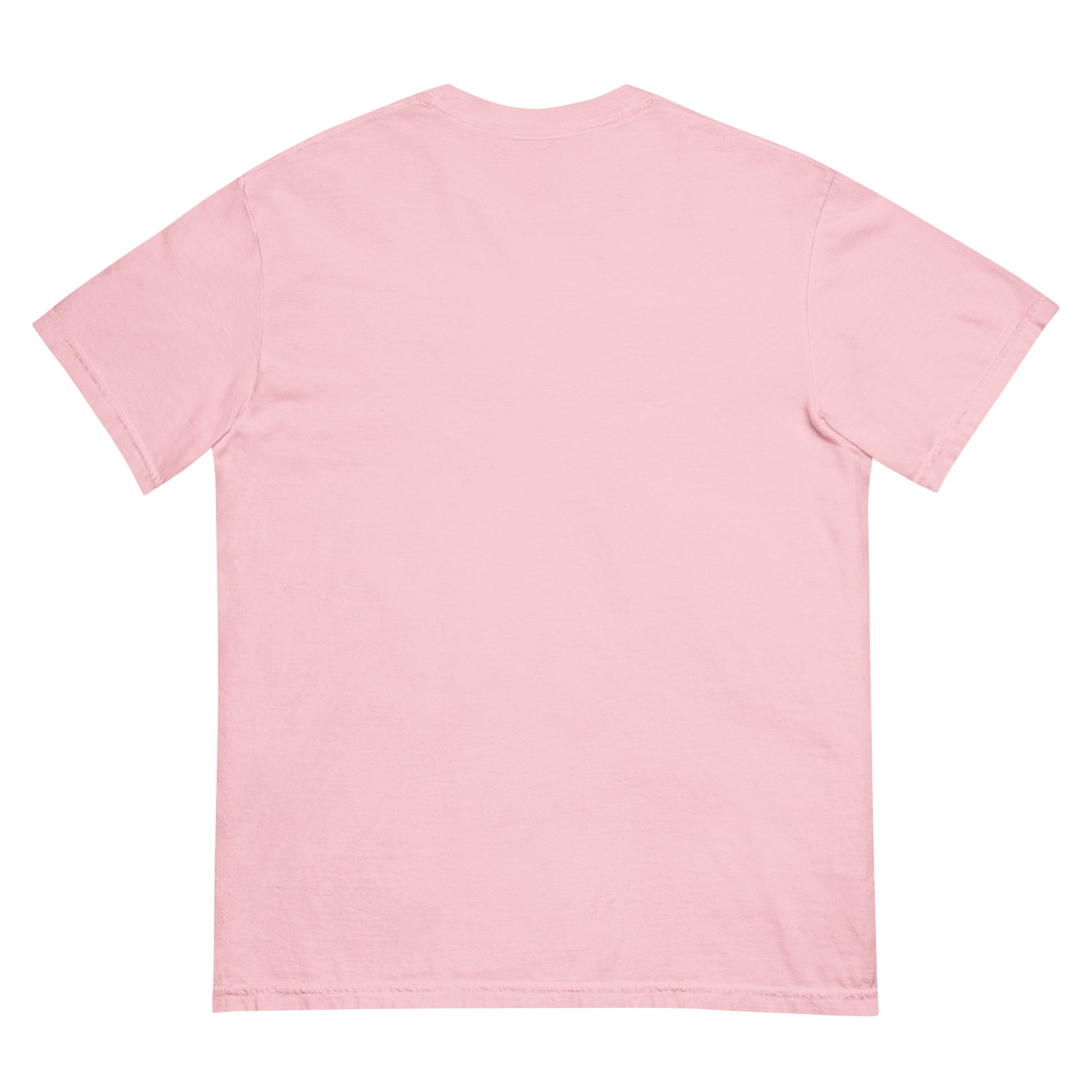 Unisex garment-dyed heavyweight t-shirt - Tasawoq