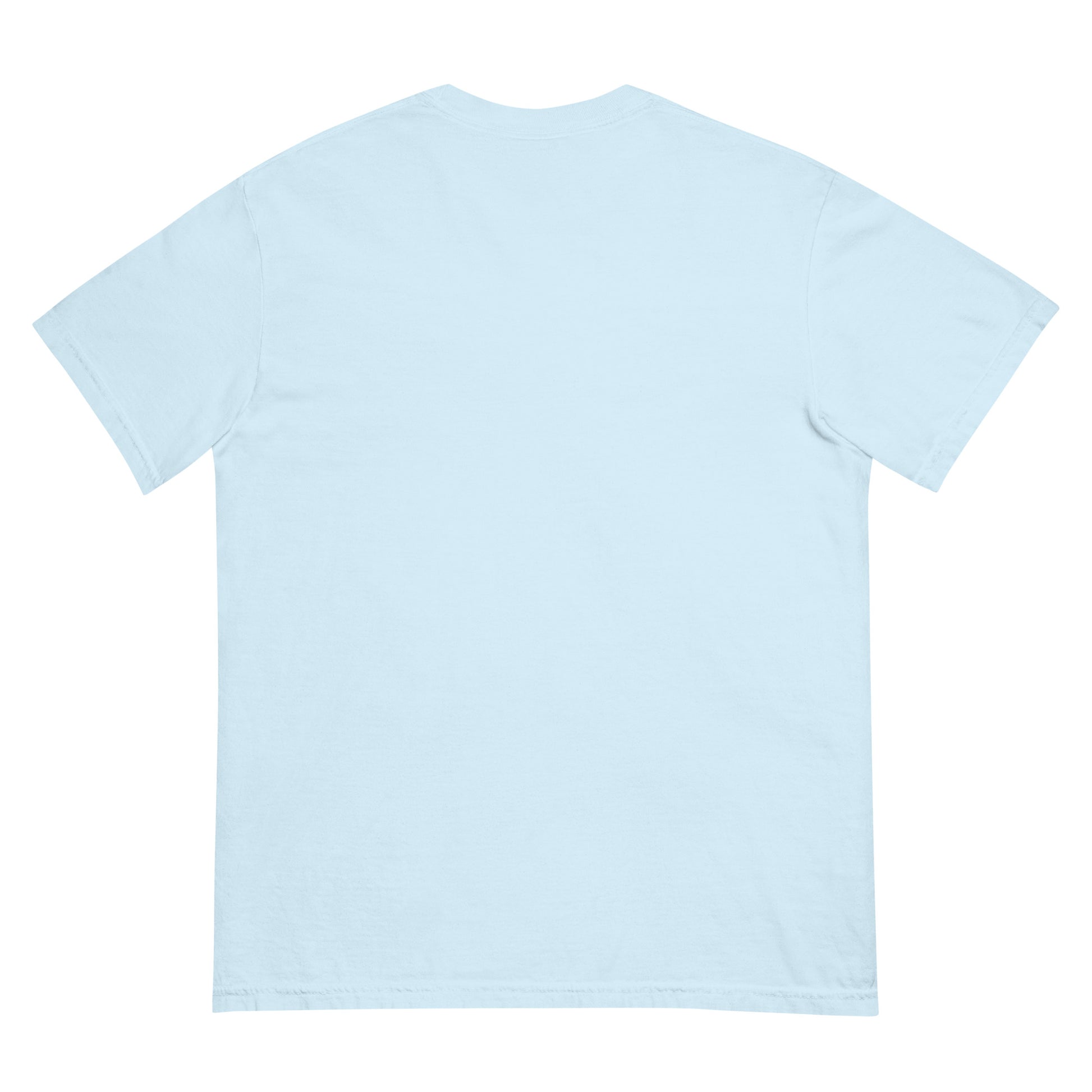 Unisex garment-dyed heavyweight t-shirt - Tasawoq