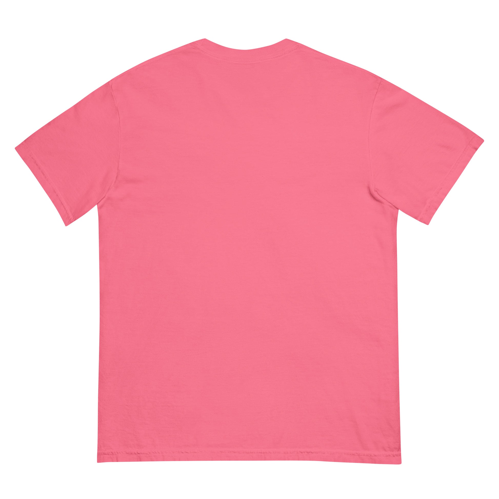 Unisex garment-dyed heavyweight t-shirt - Tasawoq