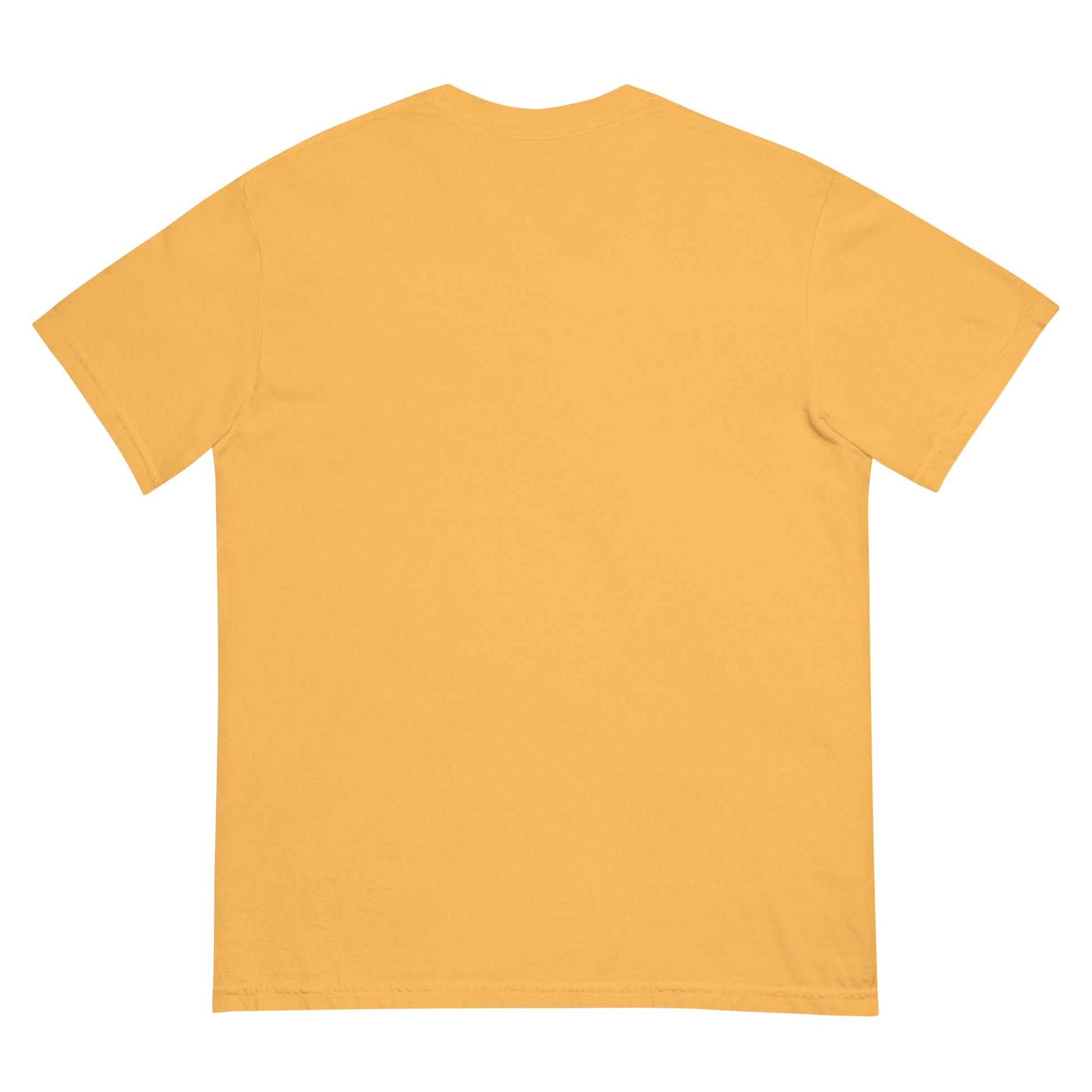 Unisex garment-dyed heavyweight t-shirt - Tasawoq